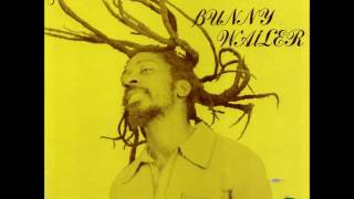 Bunny Wailer  Rock N Groove Full Album [upl. by Katlin]