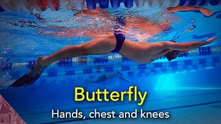 Swimming Butterfly technique Hands chest and knees [upl. by Ynamad454]