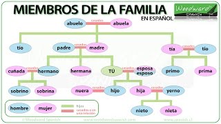 Miembros de la Familia  Family members in Spanish  Learn Spanish Vocabulary [upl. by Romanas989]