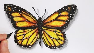 How to Draw a Realistic Butterfly Time Lapse [upl. by Anan]