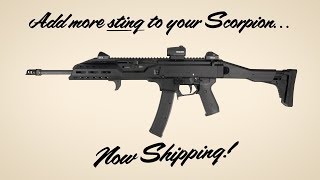 Magpul  CZ Scorpion EVO 3 [upl. by Noteek]