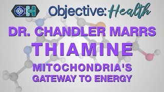 Dr Chandler Marrs on Vitamin B1 Thiamine  Mitochondrias Gateway to Energy [upl. by Broek]