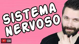 SISTEMA NERVOSO  FISIOLOGIA  Aula  Biologia com Samuel Cunha [upl. by Kreg229]