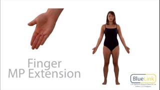 Finger Flexion Extension [upl. by Clarice]