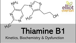 Thiamine Vitamin B1 Basic Kinetics Biochemistry amp Deficiency [upl. by Emrich140]