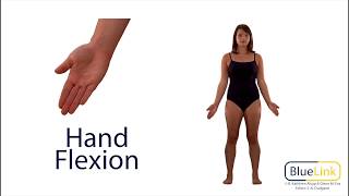 Hand Flexion Extension Hyperextension [upl. by Annyrb684]