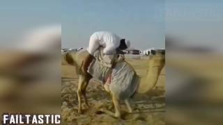 Arabic Funny Video Collection  Failtastic 2017 [upl. by Aland]