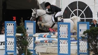 Al Ashar Vollblutaraber LStil Springen  Arabian Horse  Show Jumping [upl. by Peterman771]