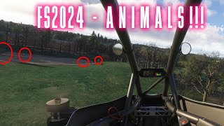 Finding ANIMALS in MSFS2024 [upl. by Liahcim]