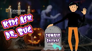 Kids Ask Dr Bug Halloween Special  Zombie Insects REVEALED [upl. by Nwahs]