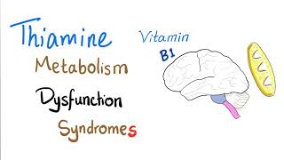 Vitamin B1  Thiamine Metabolism Dysfunction Syndromes [upl. by Euqirat]