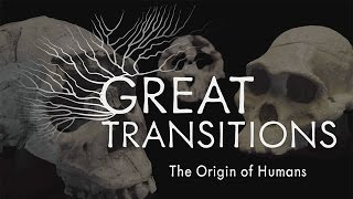 Great Transitions The Origin of Humans — HHMI BioInteractive Video [upl. by Annehcu]