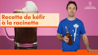 Recette de kéfir à la racinette [upl. by Noyart]