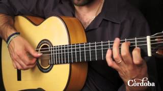 Cordoba Guitars  F10 Flamenco [upl. by Prince]