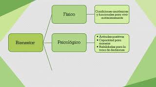 6 Dimensiones del Bienestar [upl. by Telfore]