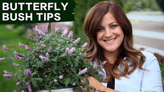 Butterfly Bush Care Tips  Garden Answer [upl. by Olsewski42]