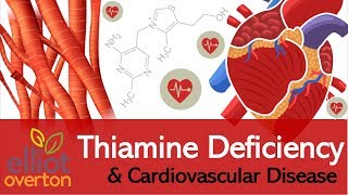 Vitamin B1 Thiamine Deficiency Cardiovascular amp Circulatory Diseases [upl. by Iznik]