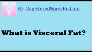 What is Visceral Fat [upl. by Brandyn]