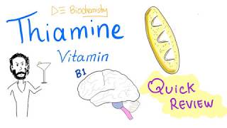 Vitamin B1  Thiamine  Quick Review  Sources Functions Deficiency Treatment [upl. by Enialb]