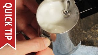 How to AutoFroth Milk for Lattes [upl. by Tnilf416]