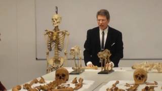 Introduction to PaleoAnthropology [upl. by Stearns454]