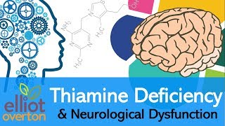 Vitamin B1 Thiamine Deficiency Neurological Dysfunction amp Disease [upl. by Beverlee37]