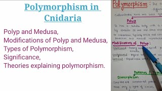 Polymorphism in Cnidaria with theories [upl. by Ten]