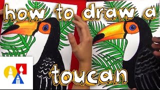 How To Draw A Realistic Toucan [upl. by Ardnaiek370]