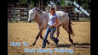 How To Start Liberty Training With Your Horse Basic Exercises Part 1 [upl. by Aernda518]