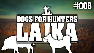 Dogs for Hunters  Lajka amp Karelian Bear Dog  Euro Hunters 8 [upl. by Aniger]