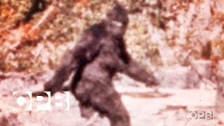 The Film That Made Bigfoot A Star  OPB [upl. by Nulubez]