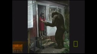 Is It Real Bigfoot 2006  National Geographic Documentary [upl. by Kries]