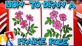 How To Draw A Prairie Rose Flower [upl. by Rriocard406]