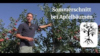 Der Sommerschnitt beim Apfel leicht gemacht  Obstbäume im Sommer schneiden [upl. by Etnoled]